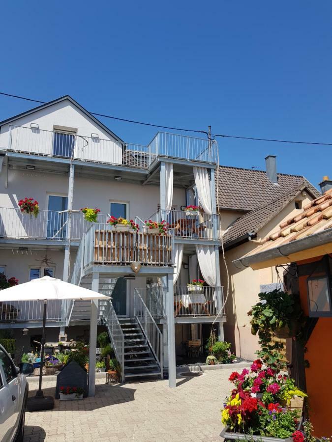 Apartamento Au Gré de L'ill 'Les Cigognes' Horbourg Exterior foto